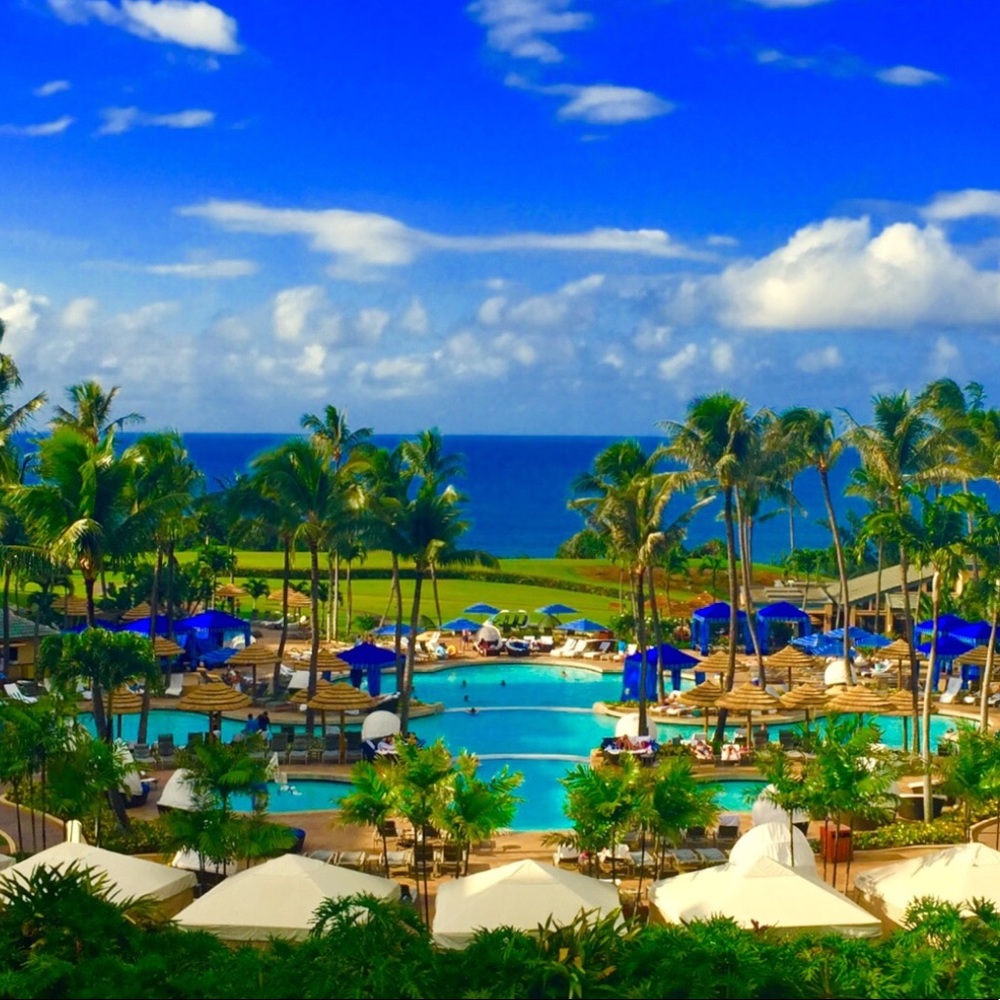 Aloha Have an Exquisite Day!
